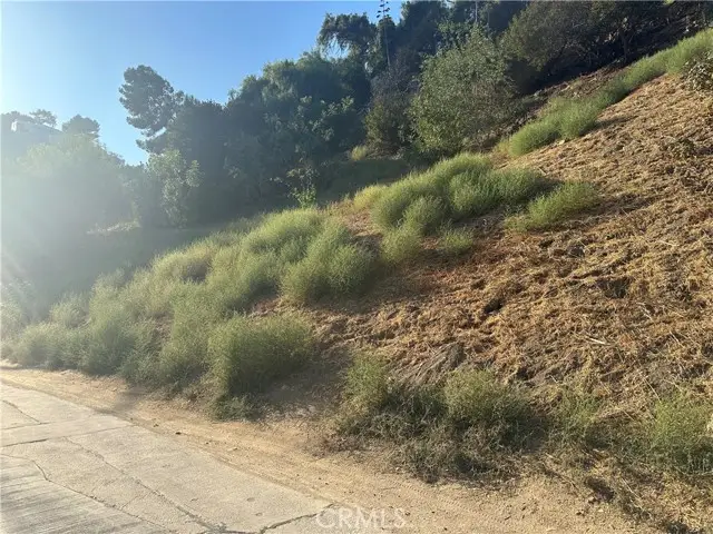 528 Rustic Dr, Los Angeles, CA 90065 - #3