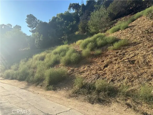 536 Rustic Dr, Los Angeles, CA 90065 - #1