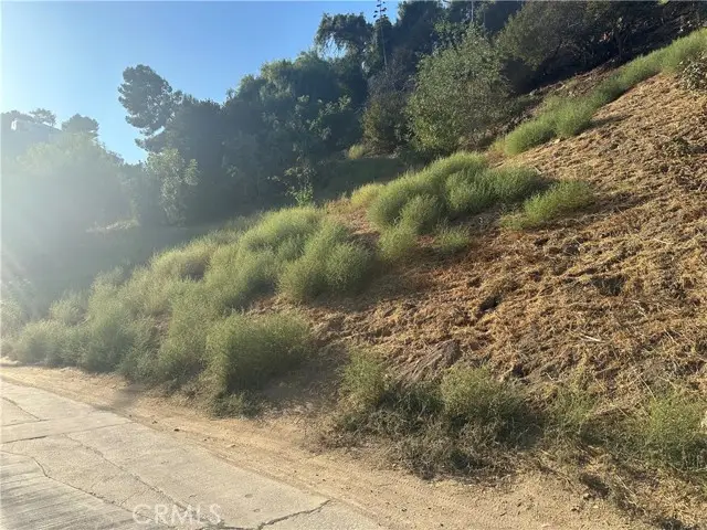540 Rustic Dr, Los Angeles, CA 90065 - #1