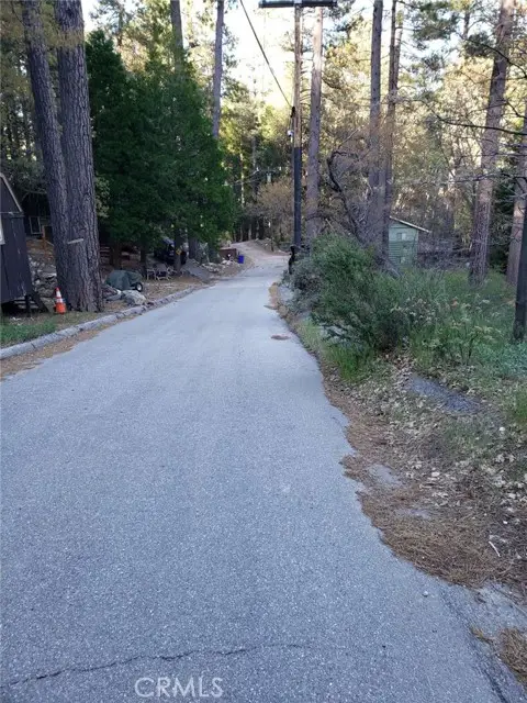 29531 Little Bear Creek Road, Cedar Glen, CA 92321 - #3