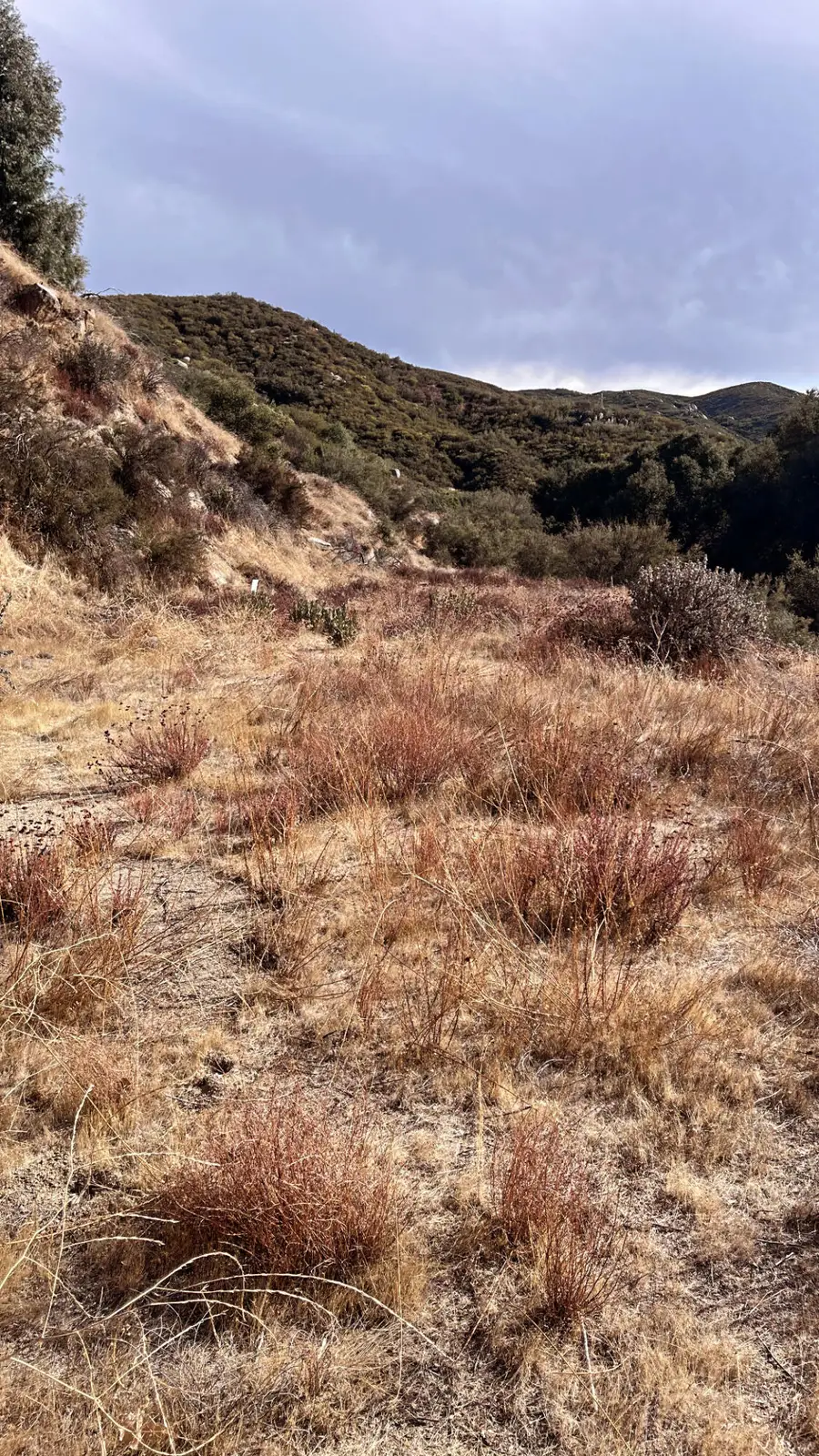 0 Partridge Lane, Banning, CA 92220 - Image #2