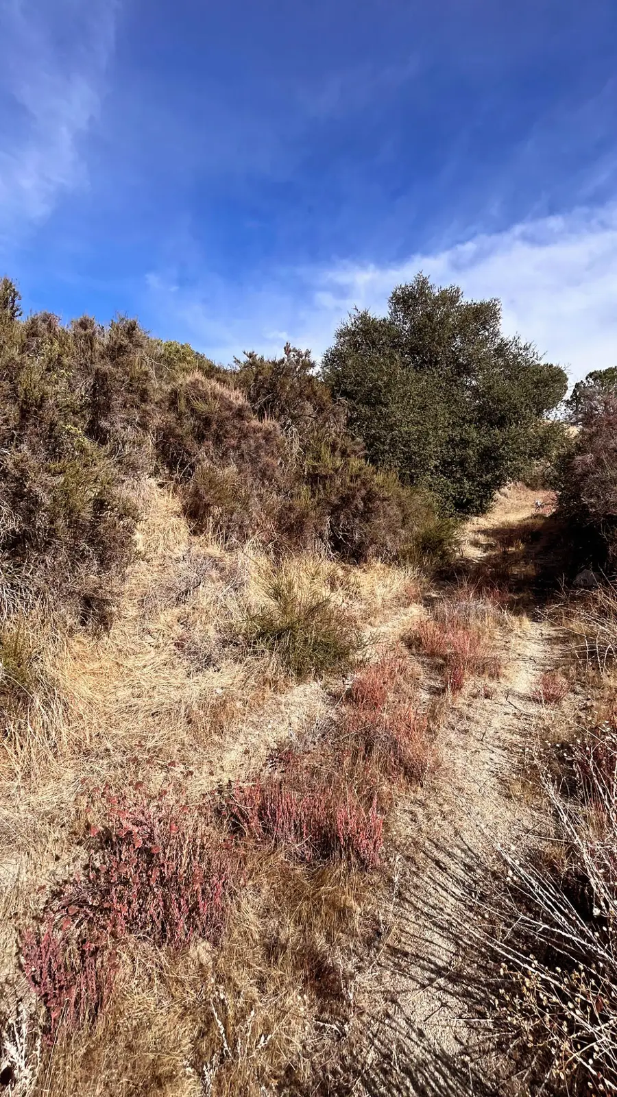 0 Partridge Lane, Banning, CA 92220 - Image #3