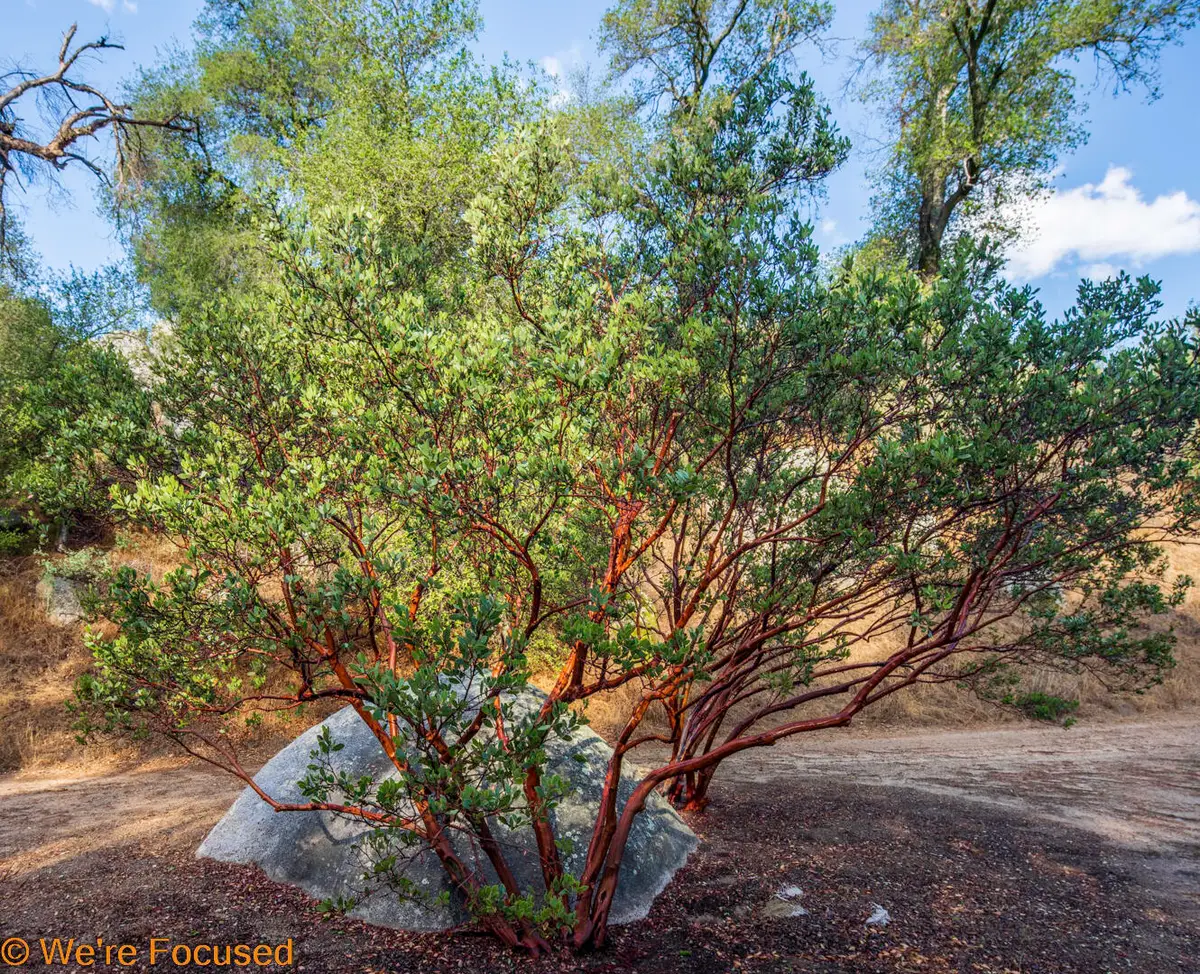 1 Cryer Road, Poppet Flats Road, Banning, CA 92220 - Image #1