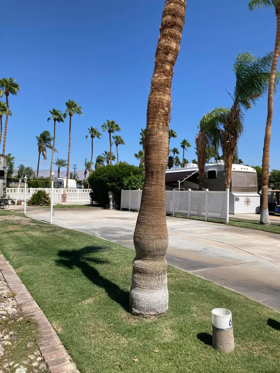 69411 Ramon Road #65, Cathedral City, CA 92234 - Image #3