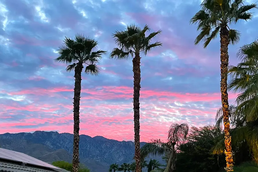 644 E Lily Street, Palm Springs, CA 92262 - Image #3