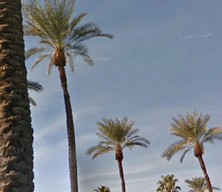 69411 Ramon Road #1117, Cathedral City, CA 92234 - Image #1