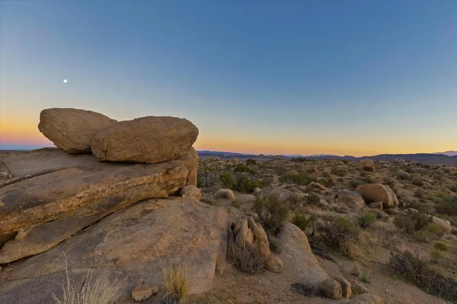 001 Dragonfly Lane, Pioneertown, CA 92268 - #3