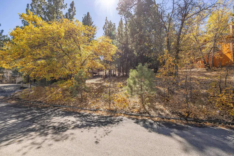 1409 Klamath Road, Big Bear City, CA 92314 - Image #2