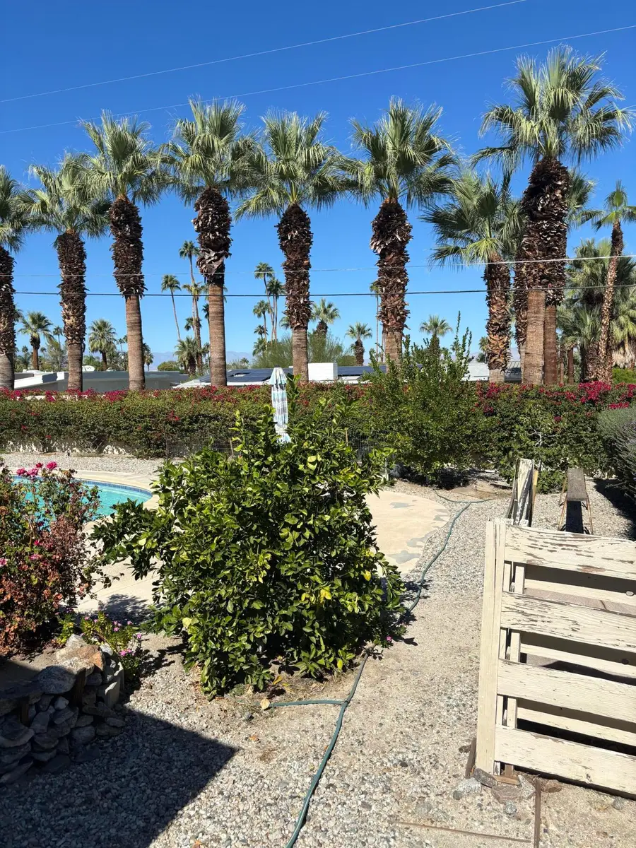 73424 Salt Cedar Street, Palm Desert, CA 92260 - Image #3
