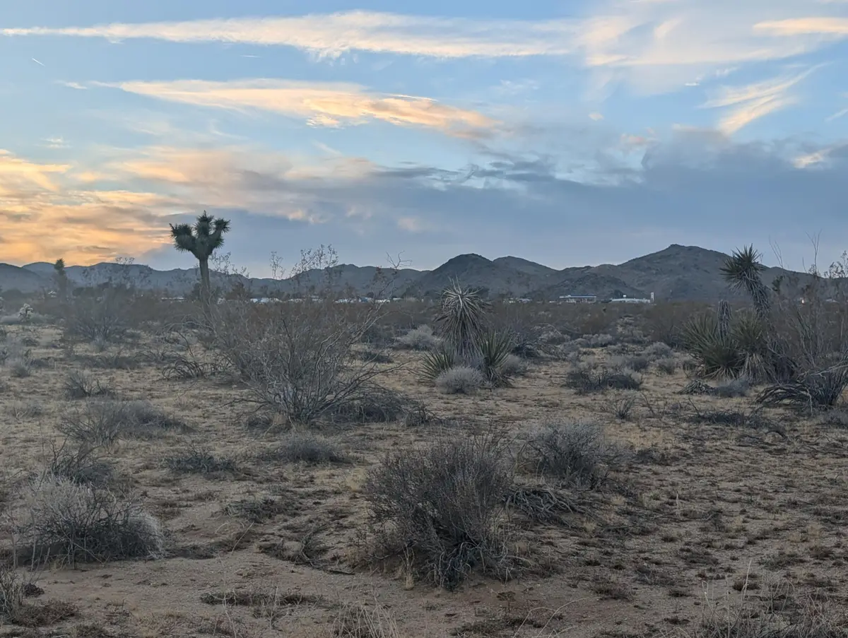 476 Ripon Avenue, Yucca Valley, CA 92284 - #1