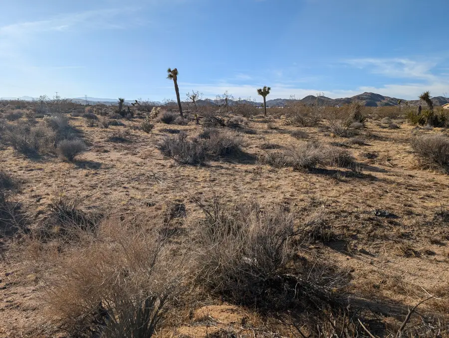 476 Ripon Avenue, Yucca Valley, CA 92284 - #2