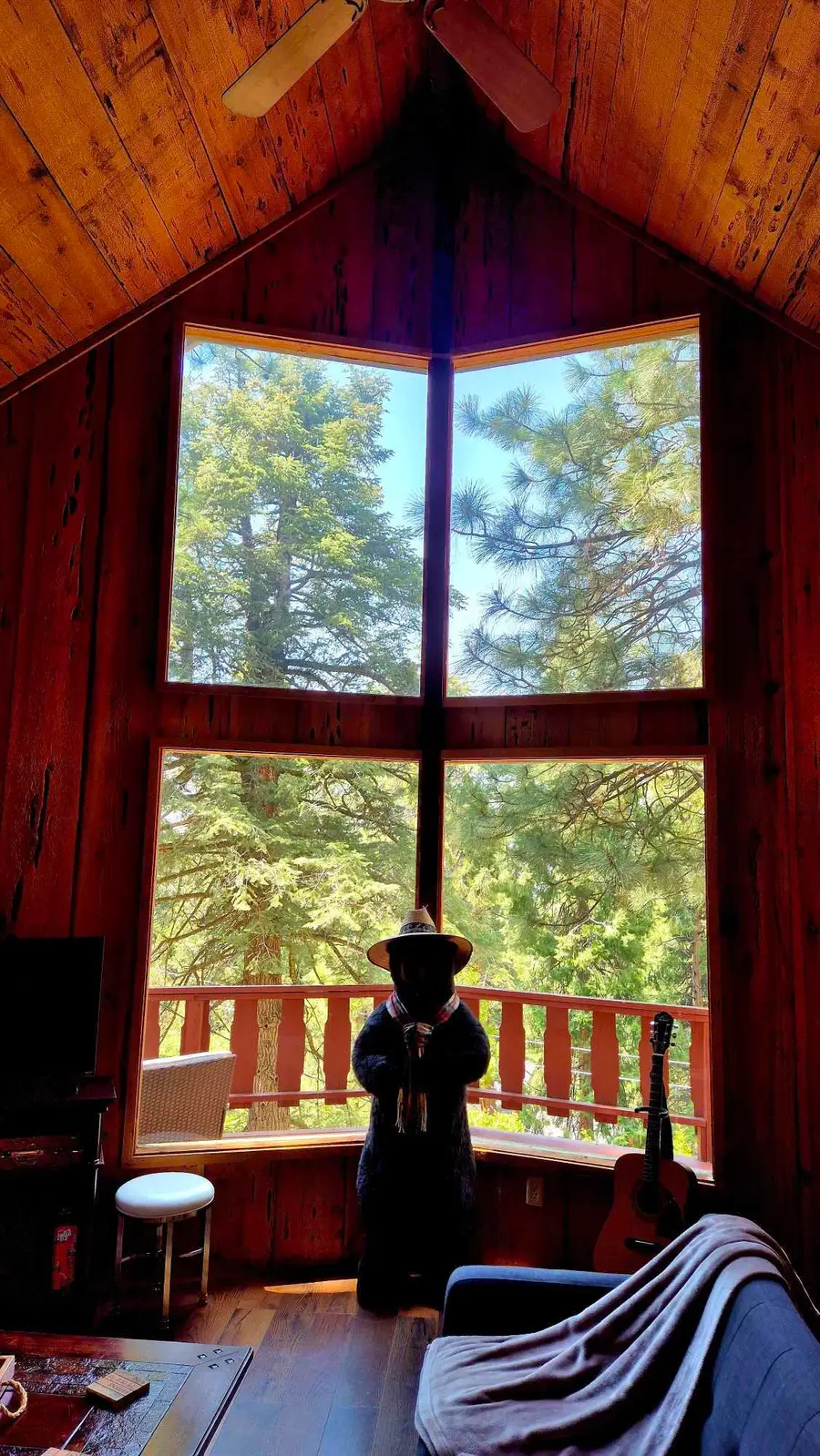 25390 Shadow Oaks, Idyllwild, CA 92549 - Image #3