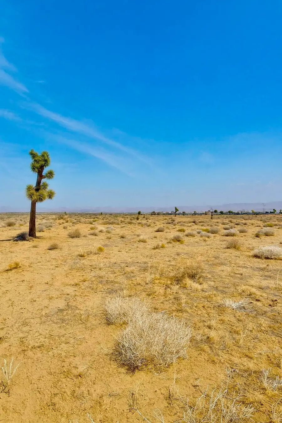 6982 South Street, Phelan, CA 92371 - Image #2