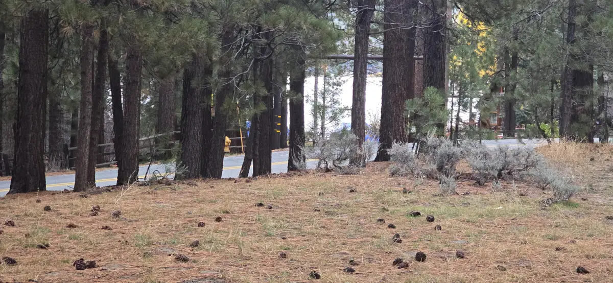 39731 Lakeview, Big Bear Lake, CA 92315 - Image #1