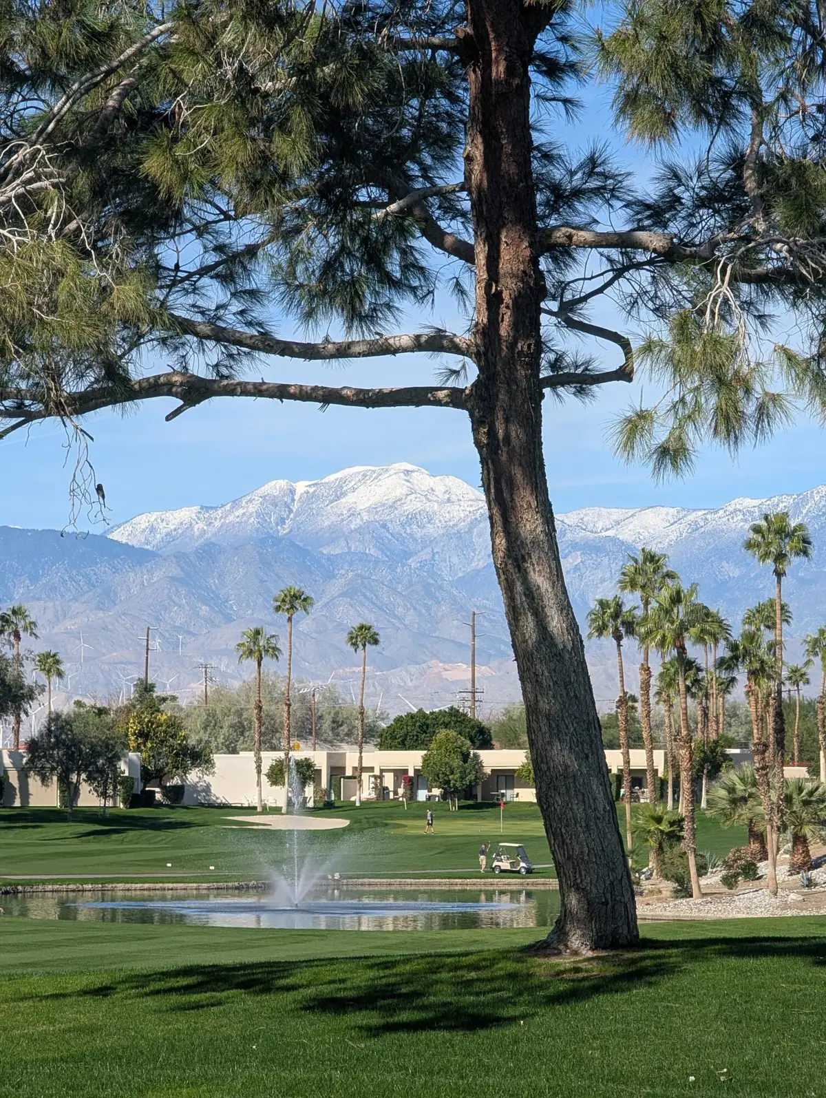 67268 S Chimayo Drive, Cathedral City, CA 92234 - Image #1