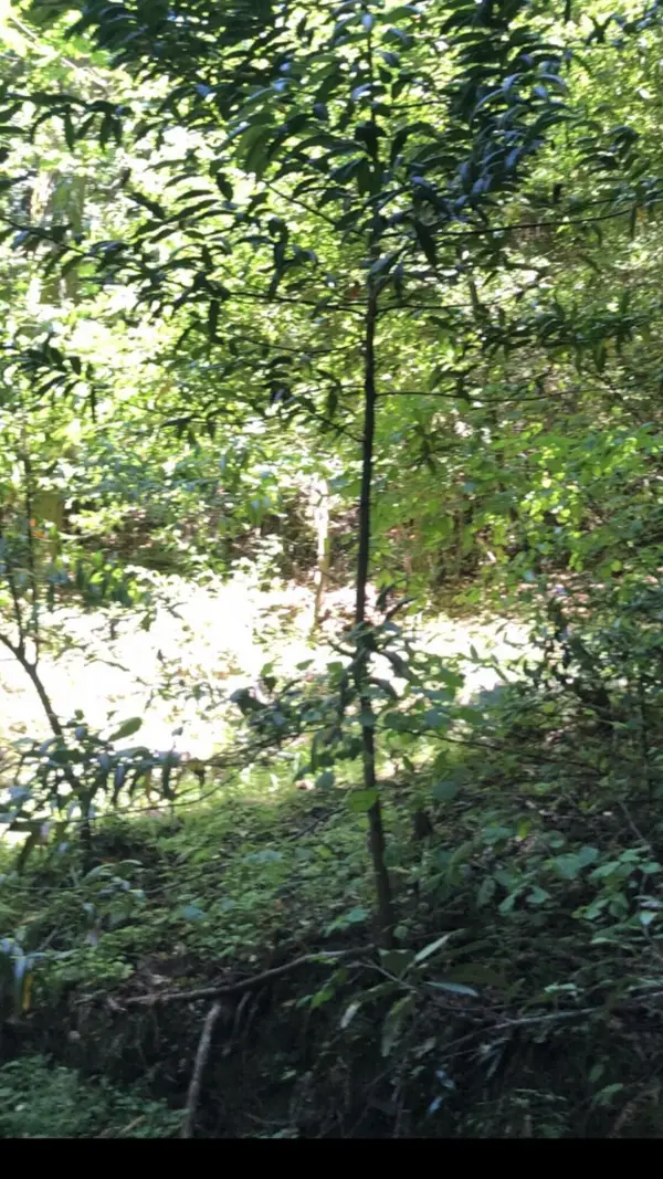 0 Visitar Street, Scotts Valley, CA 95066