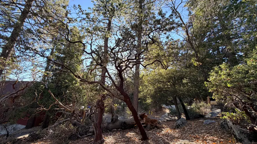 53040 Starlite Lane, Idyllwild, CA 92549 - Image #2