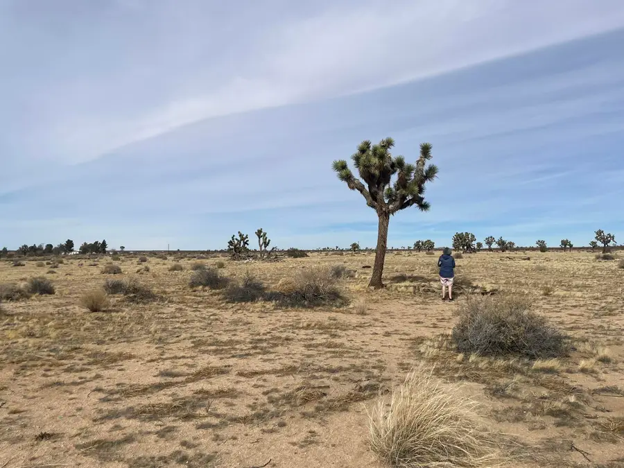 0 S 218th Street, Lancaster, CA 93536 - Image #3