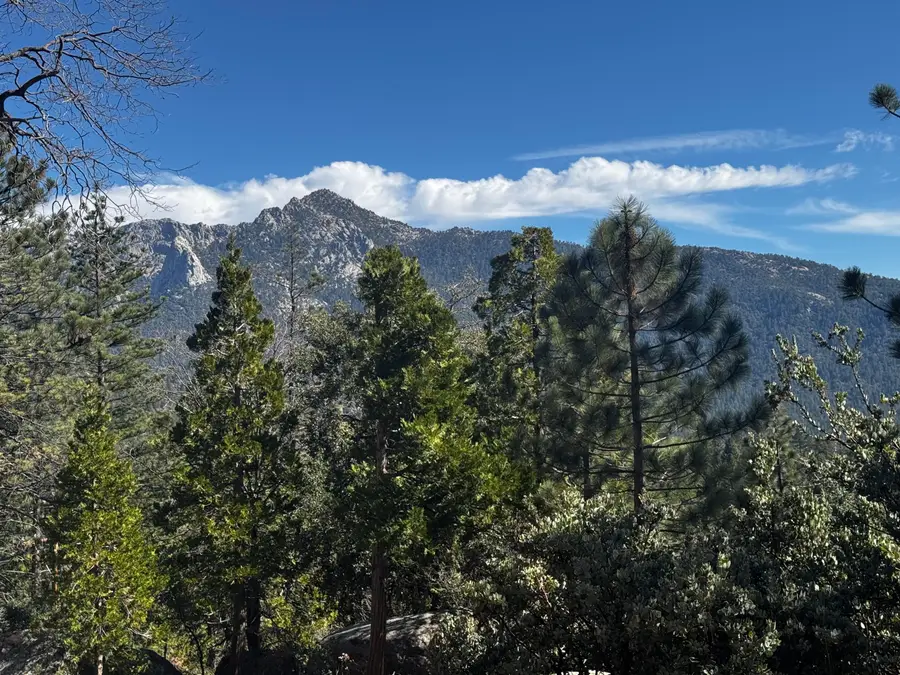 25327 Scenic View Drive, Idyllwild, CA 92549 - #3