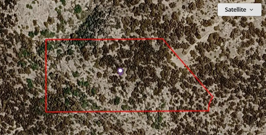 00 Palace Drive, Mountain Center, CA 92561 - #2