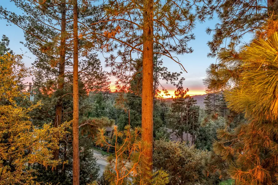 26620 Crestview Drive, Idyllwild, CA 92549 - #2