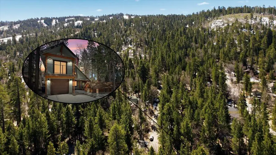 830 Oriole Drive, Big Bear Lake, CA 92315 - #3