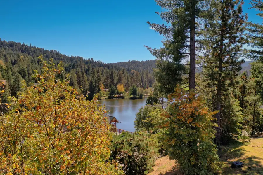 788 Brentwood Drive, Lake Arrowhead, CA 92352 - #3