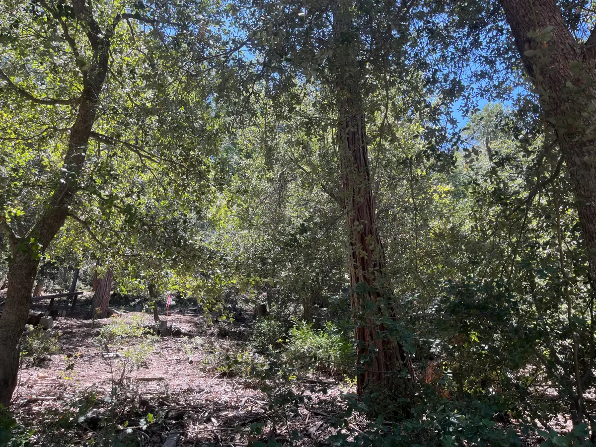 0 Middleridge Drive, Idyllwild, CA 92549 - #1