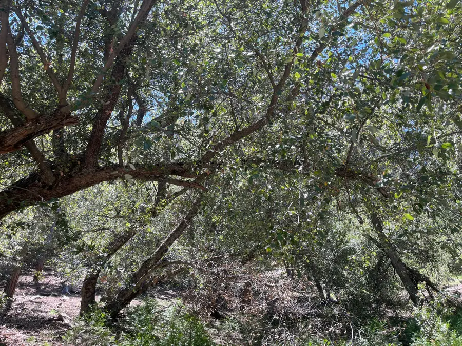 0 Middleridge Drive, Idyllwild, CA 92549 - #2