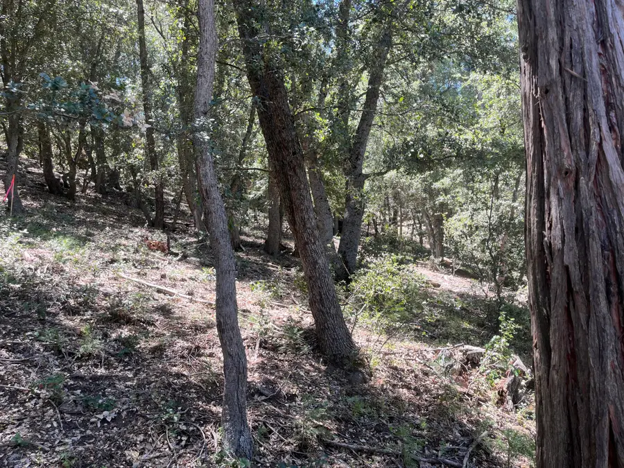 0 Middleridge Drive, Idyllwild, CA 92549 - #3