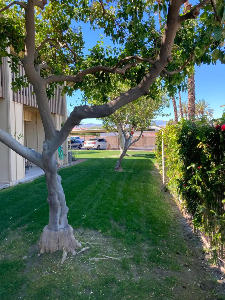 77805 California Drive #A2, Palm Desert, CA 92211 - #3