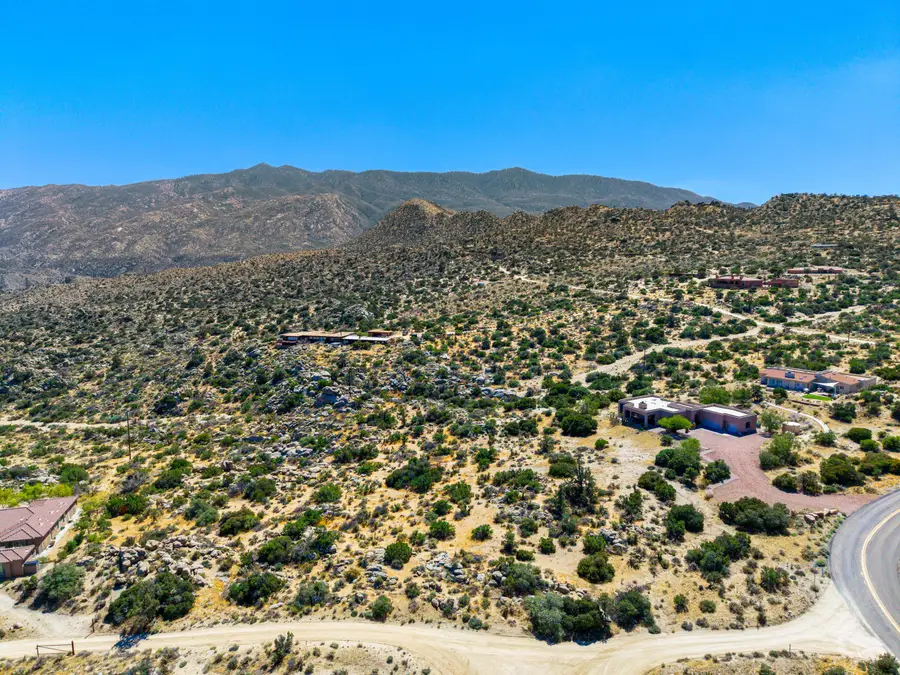 Lot 16 Carrizo Road, Mountain Center, CA 92561 - #3