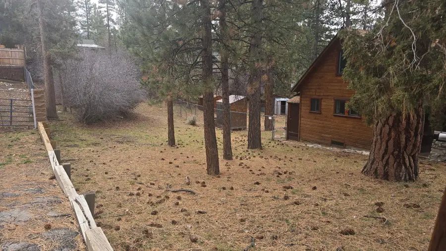 0 Conifer Conifer, Big Bear Lake, CA 92315 - #3
