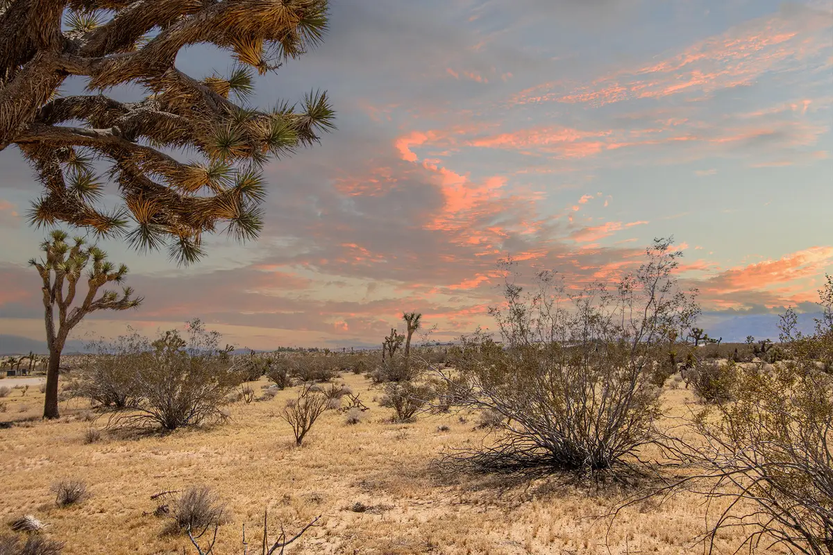 60531 Cielito Drive, Joshua Tree, CA 92252 - #1