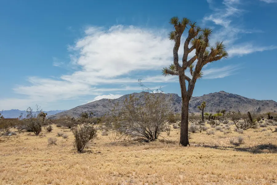 60531 Cielito Drive, Joshua Tree, CA 92252 - #3