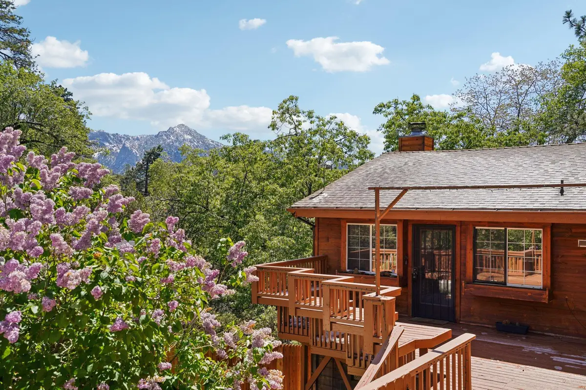 24800 Marion Ridge Drive, Idyllwild, CA 92549 - #1