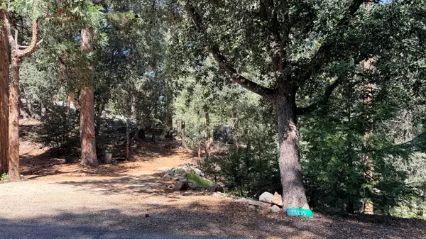 25235 Nestwa Trail, Idyllwild, CA 92549