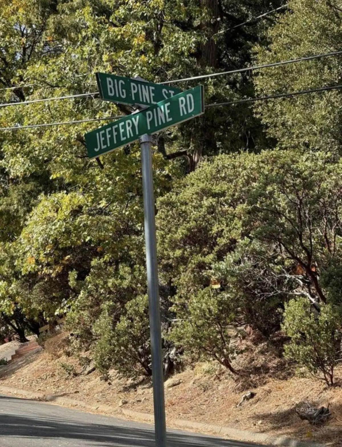 53642 Jeffrey Pine Court, Idyllwild, CA 92549 - #1