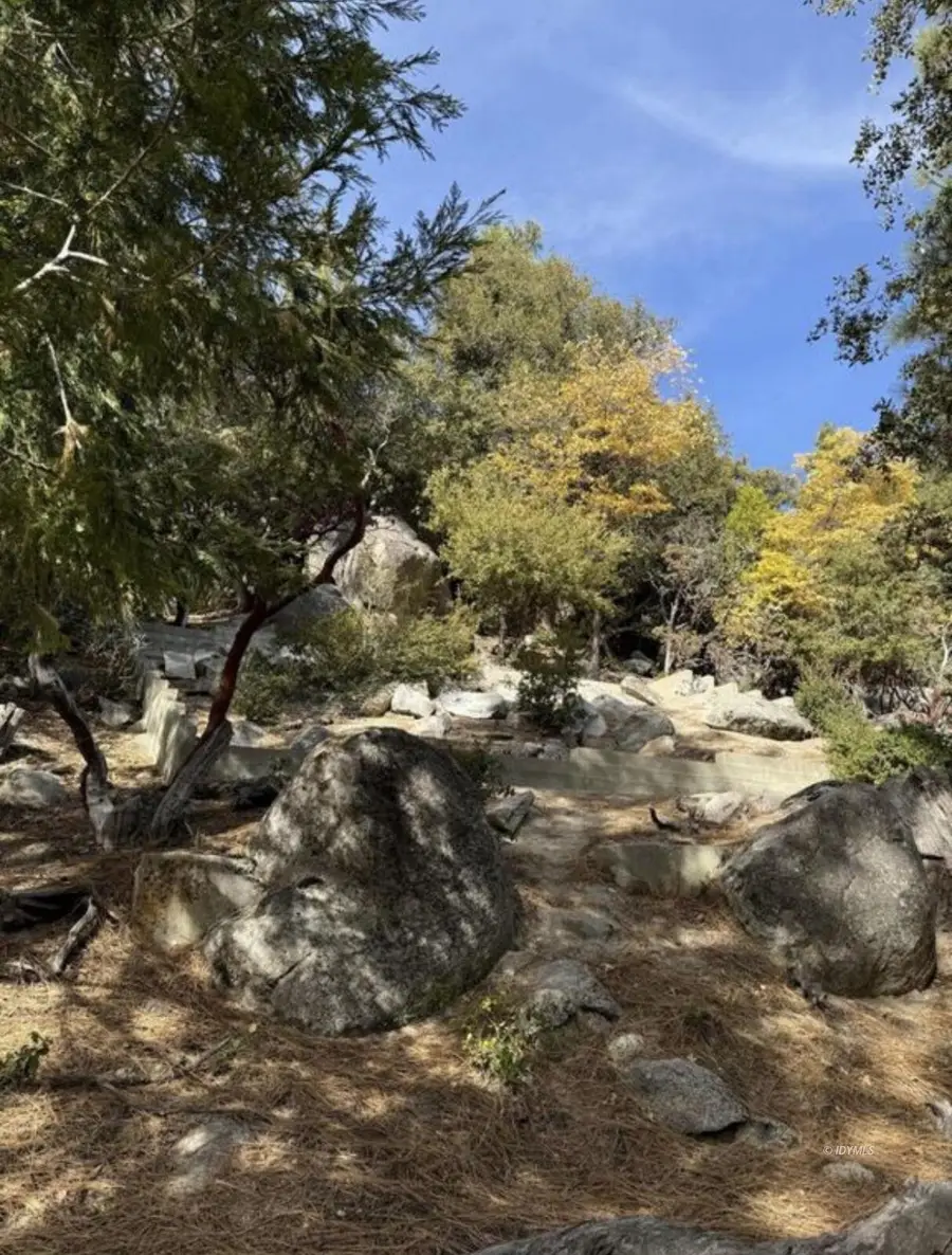 53642 Jeffrey Pine Court, Idyllwild, CA 92549 - #2
