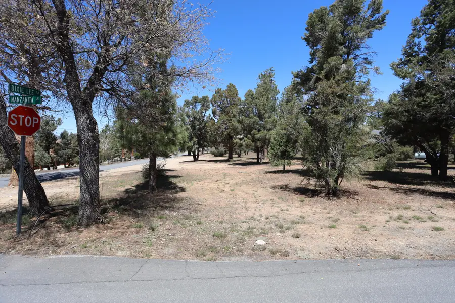 0 Dixie Lee, Sugarloaf, CA 92386 - #2
