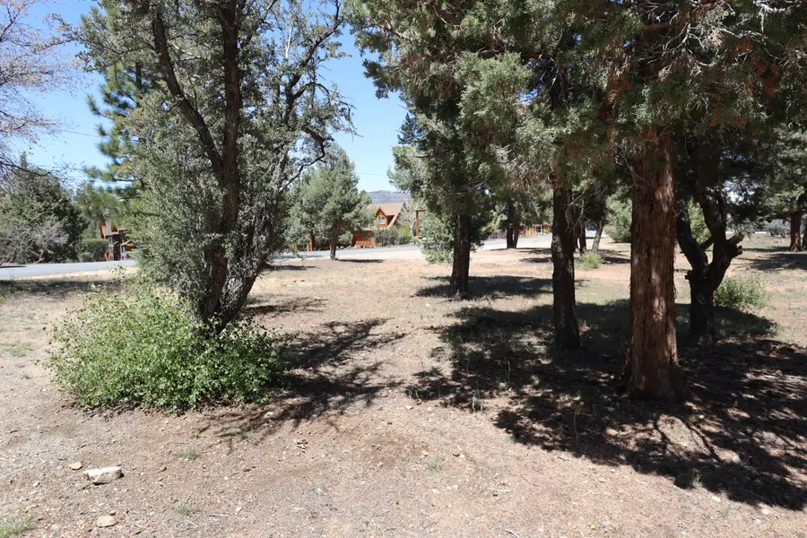 0 Dixie Lee, Sugarloaf, CA 92386 - #3