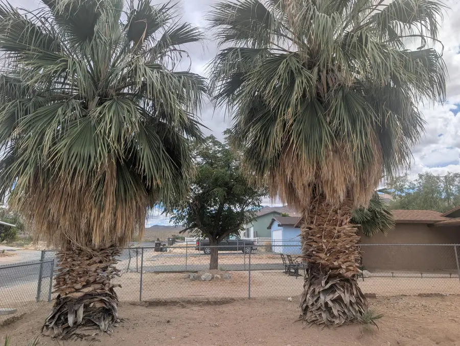 6422 Palm View Avenue, Twentynine Palms, CA 92277 - #2