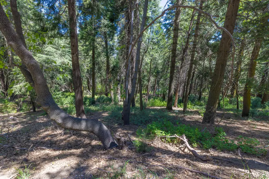 Lot 78 Cedar Pines Drive, Crestline, CA 92325 - #2