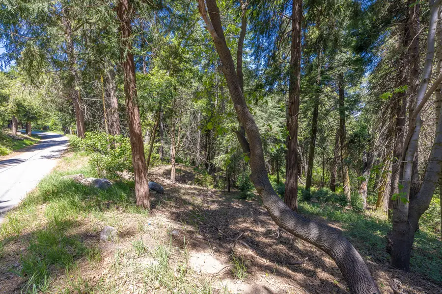 Lot 78 Cedar Pines Drive, Crestline, CA 92325 - #3