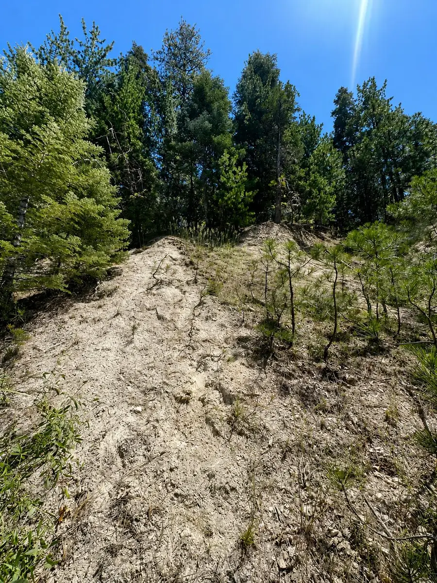 0 N Grass Valley Road, Lake Arrowhead, CA 92352 - #3