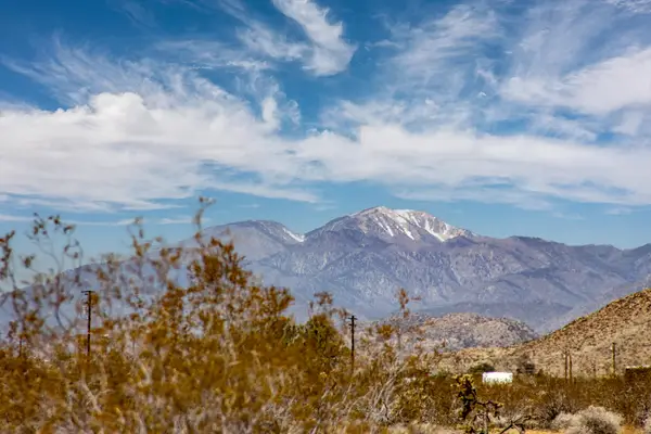 407 California Avenue, Joshua Tree, CA 92252