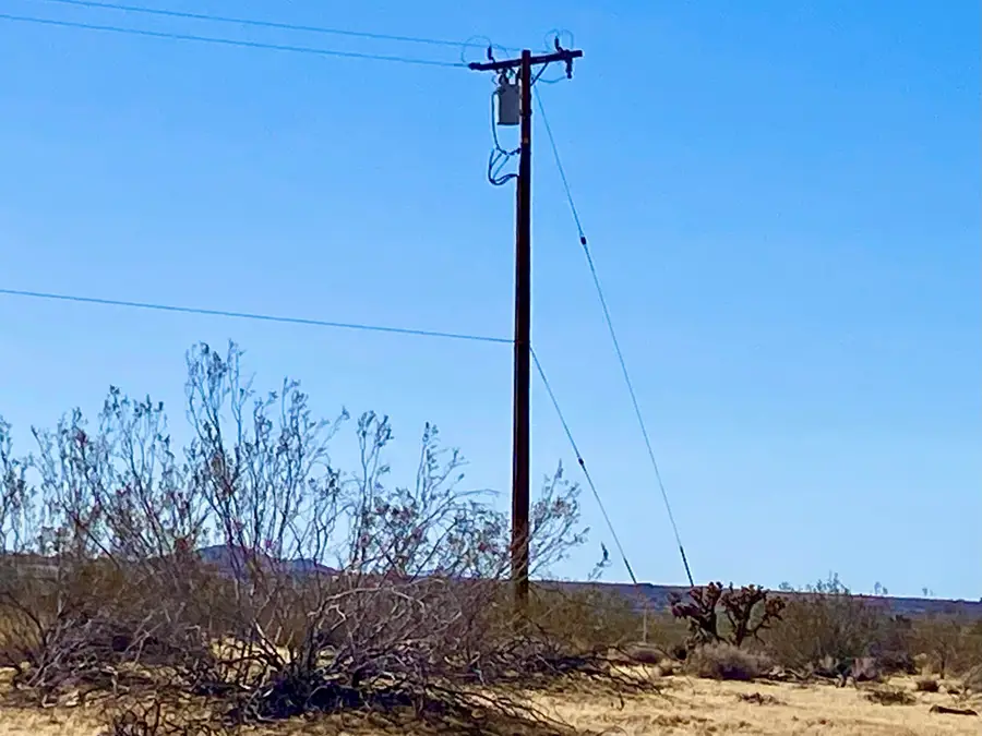 407 California Avenue, Joshua Tree, CA 92252 - #3