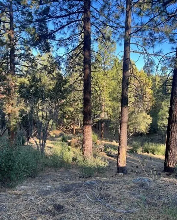 545 Division Drive, Big Bear City, CA 92314 - #3