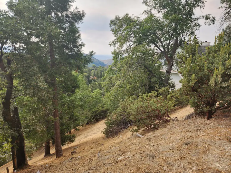 0 Evergreen Lane, Lake Arrowhead, CA 92352 - #2