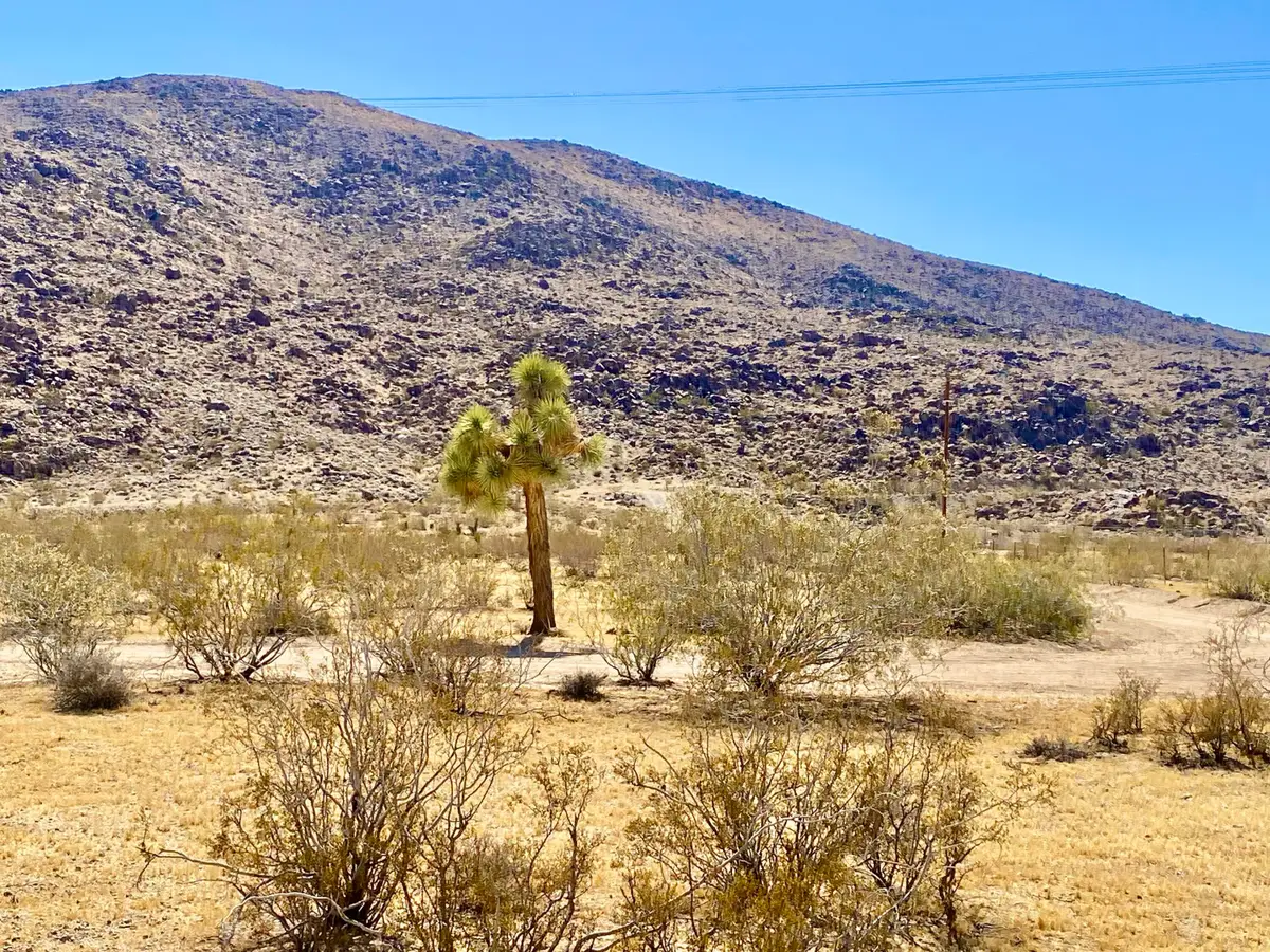4225 Benji Avenue, Joshua Tree, CA 92252 - #1